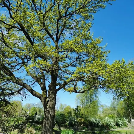 R9 Riga